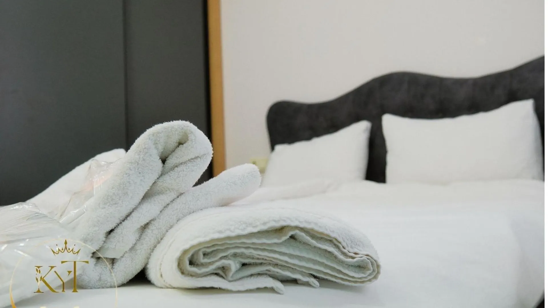 Kocyigit Suite & Hotel Istanbul 0*,